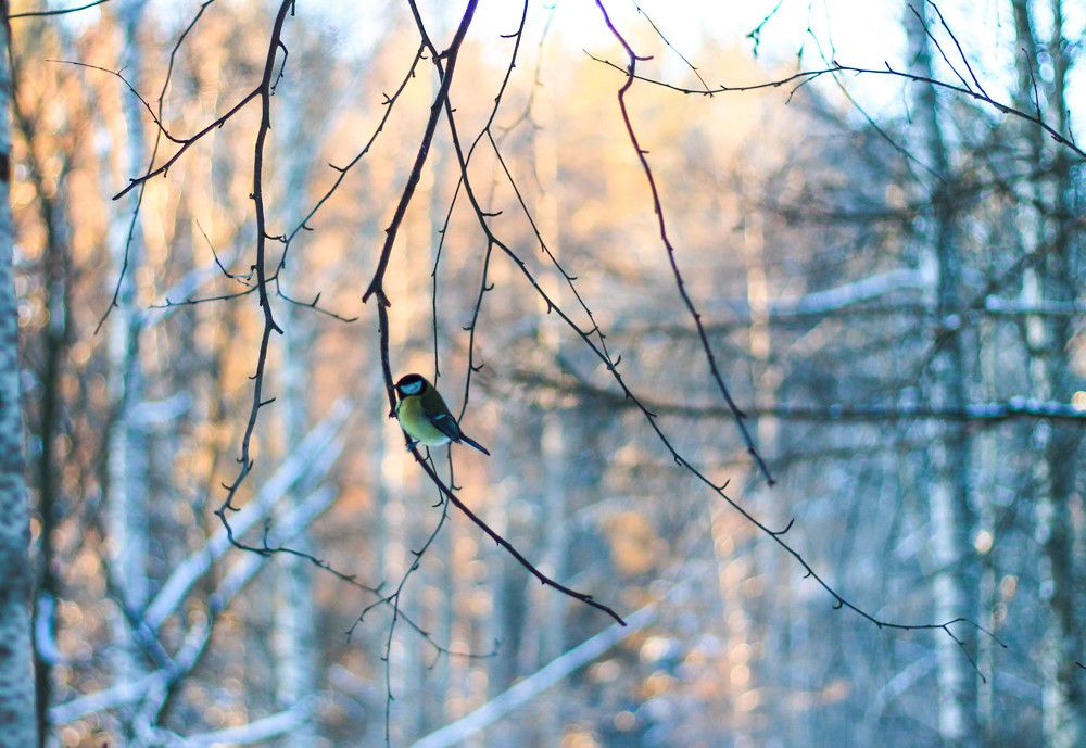 Photograph by Любовь Иванова