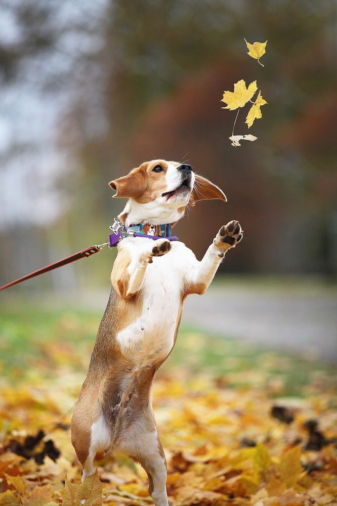 Photograph by Сергей