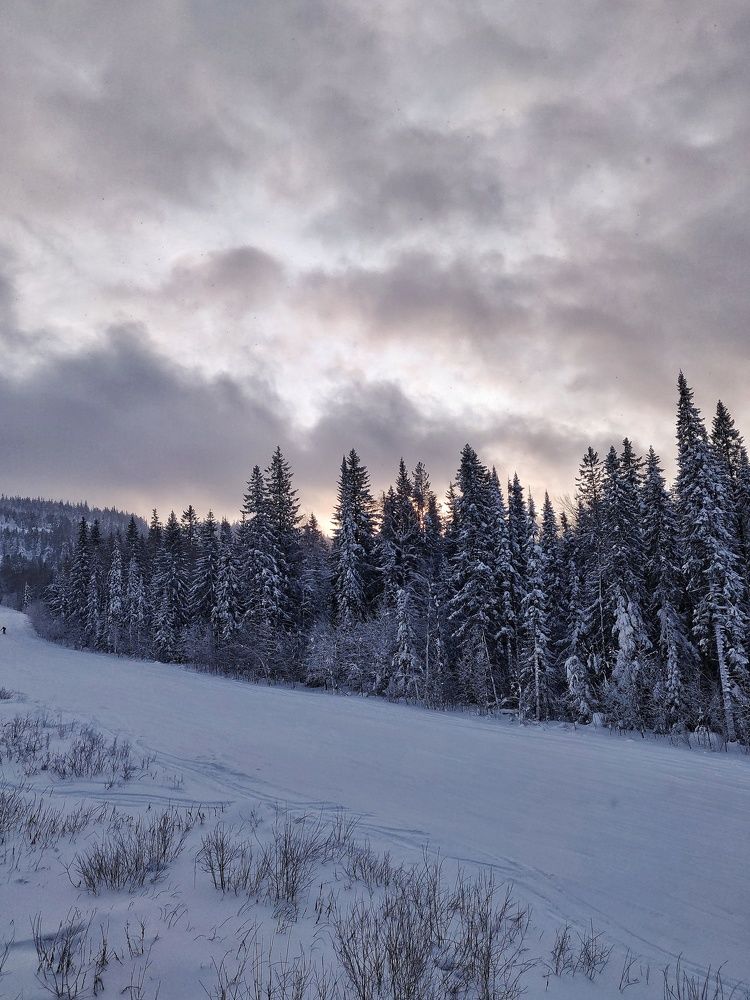 Photograph by Наталья Гущина