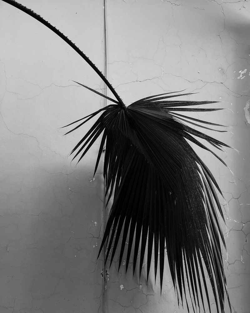 Фотография автора Evgeniya Sychkova