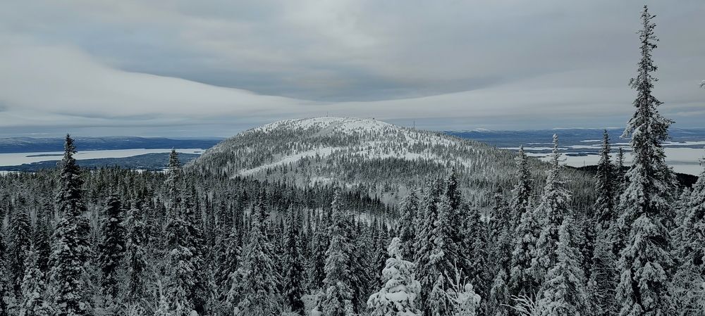 Photograph by Мари