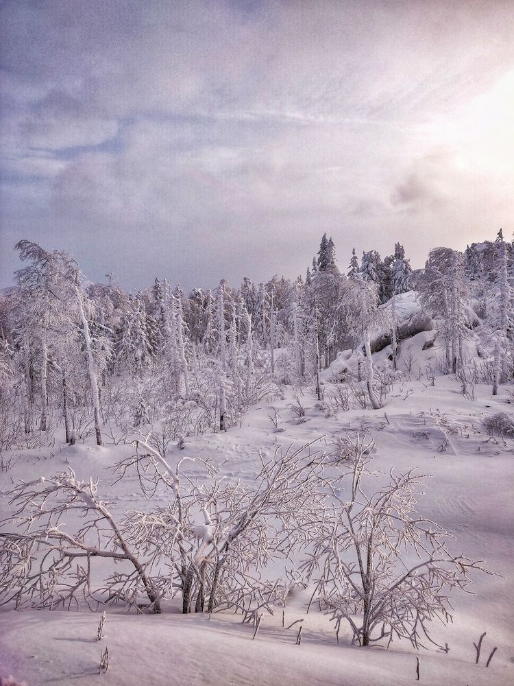 Photograph by Наталья Гущина