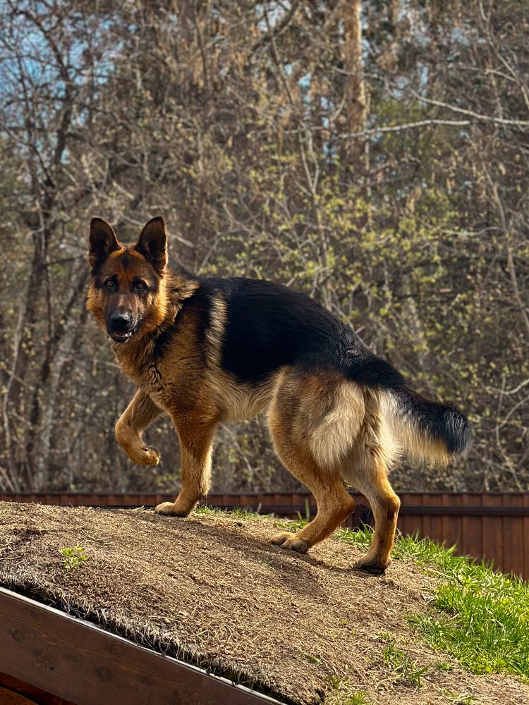 Photograph by Мария