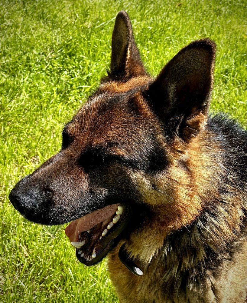 Photograph by Мария