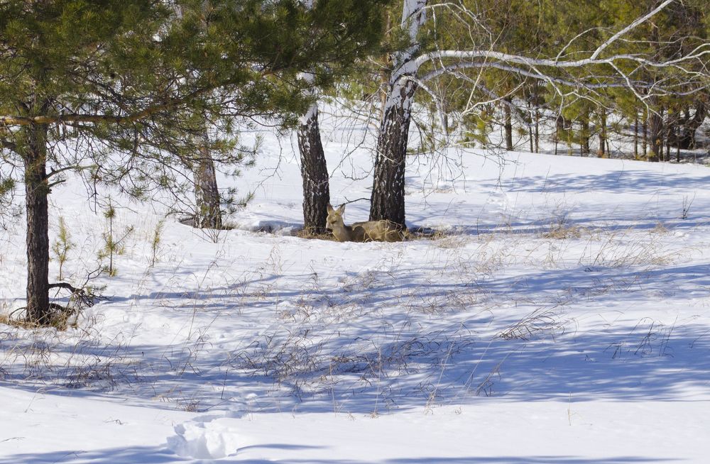 Photograph by Роман Пацкевич