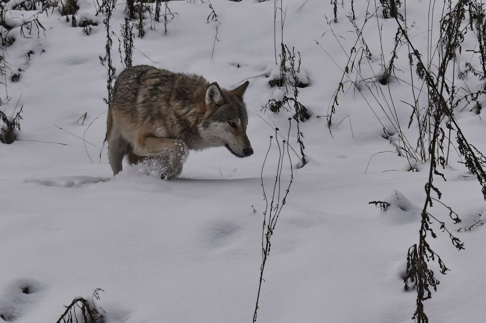 Photograph by Роман Пацкевич