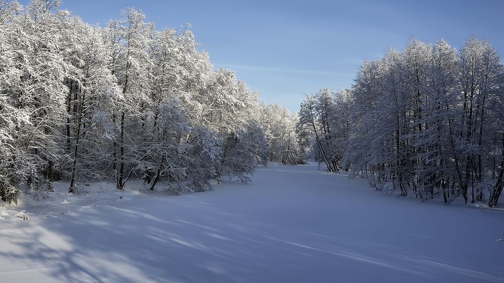 Photograph by Алексей Парамонов
