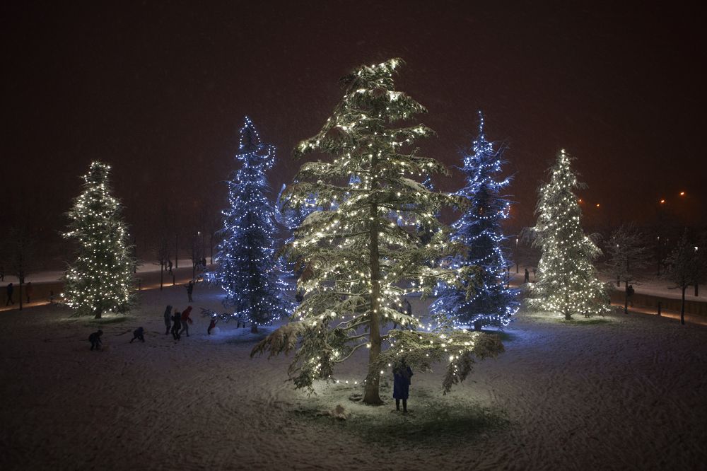 Photograph by Ольга Юсупова