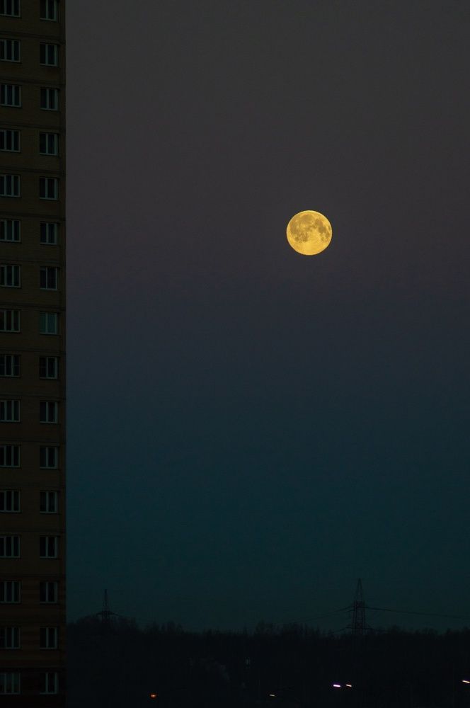 Photograph by Анастасия