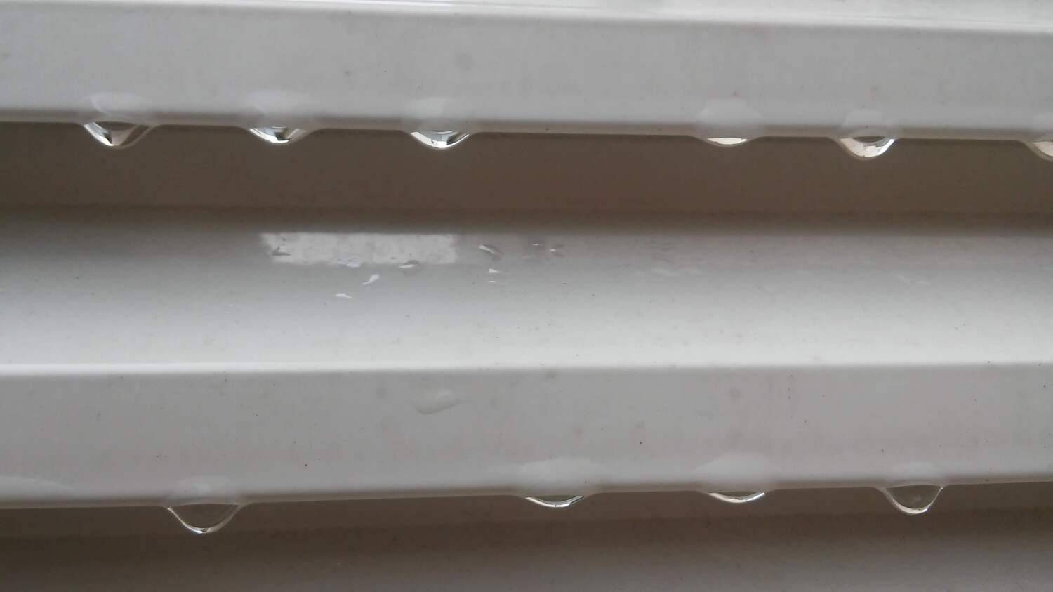 Photo #11699731