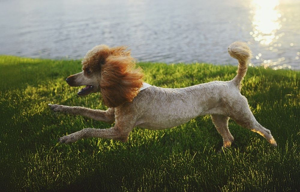 Photograph by Екатерина Шлехт