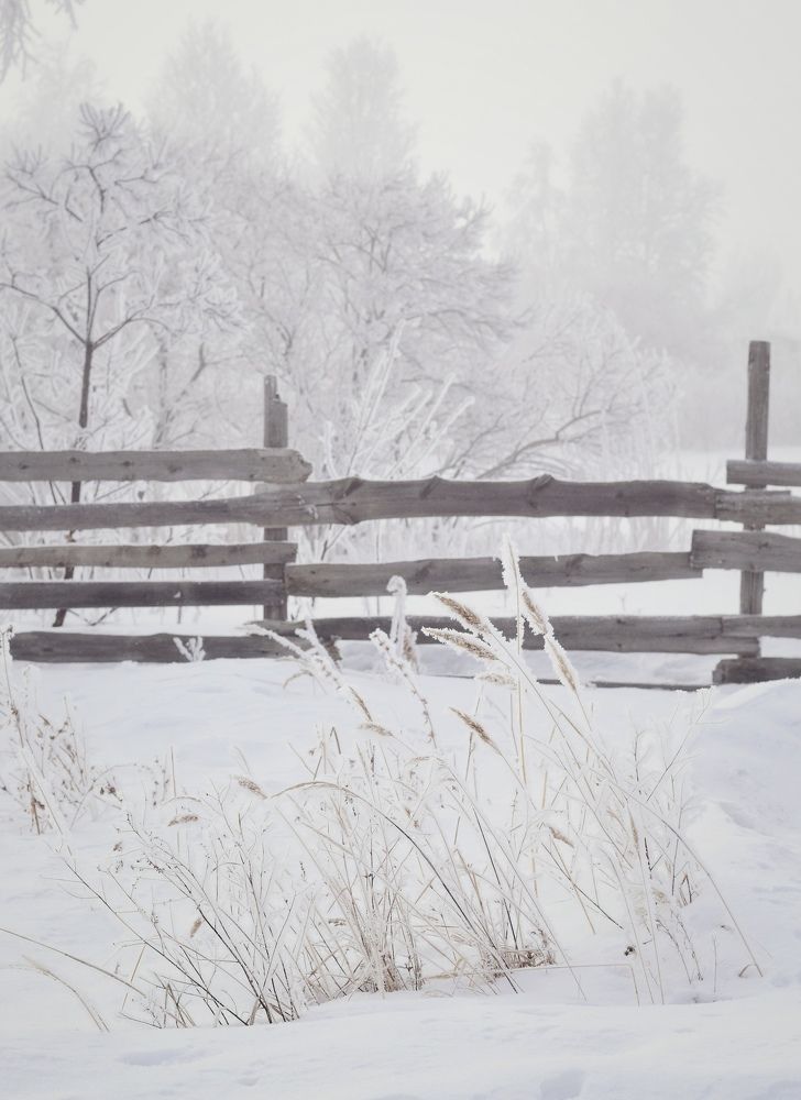 Photograph by Екатерина Шлехт