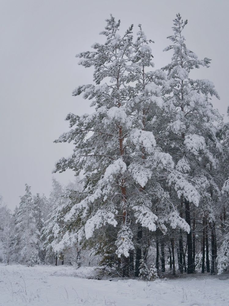 Photograph by Екатерина Шлехт