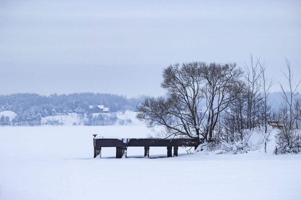 Photograph by Алексей Никитин