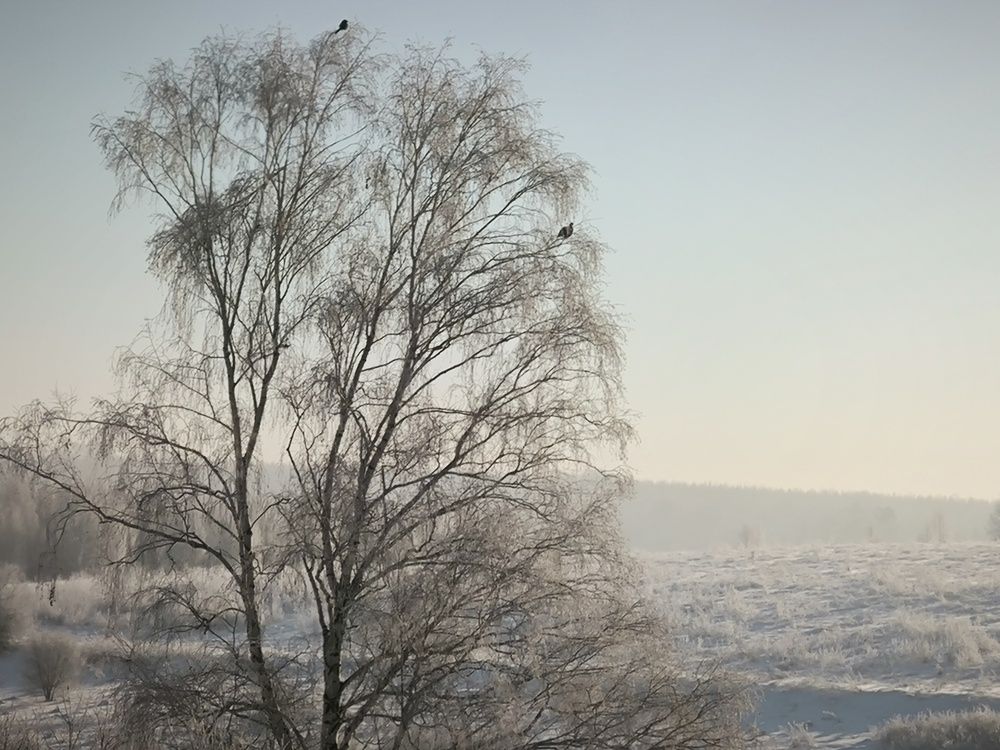 Фотография автора Александр Осинцев