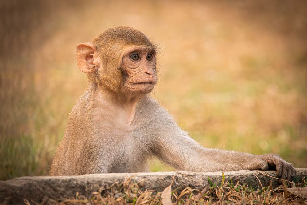 Photograph by Alexei Kriptozoy