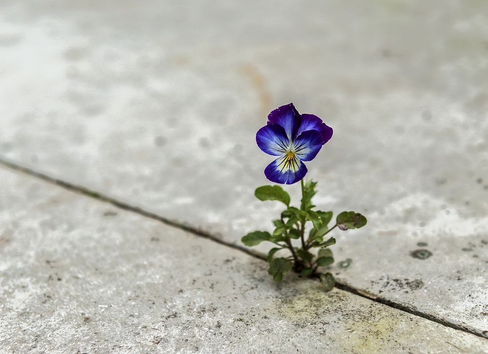 Photograph by Ольга Дядченко