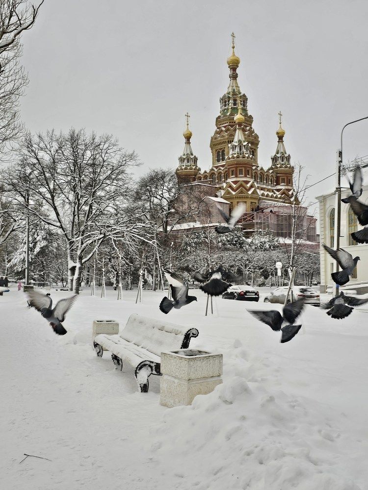 Светлая Вера.