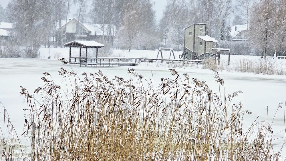 Снежное утро.