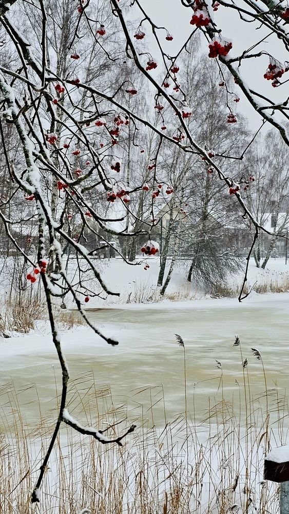 Утро одного дня.