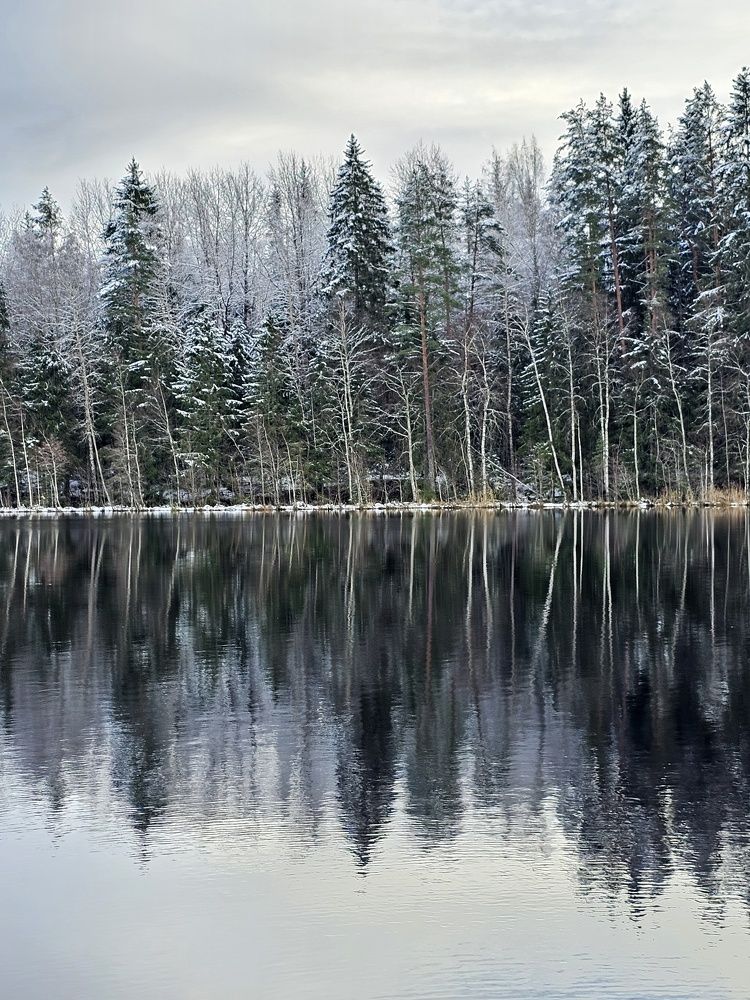 Зима пришла по утру.