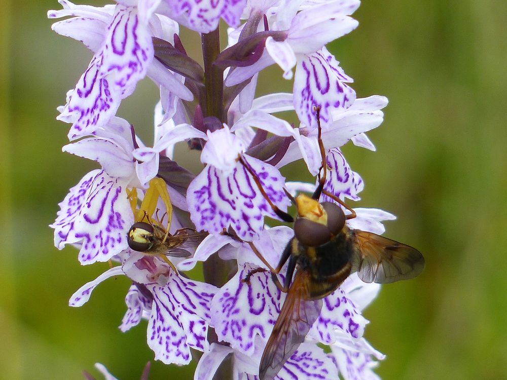 Photograph by Георгий Салюков