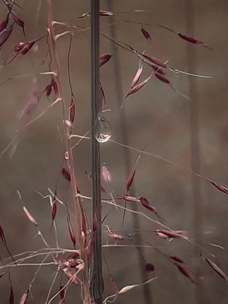 Photograph by Catherine Walter-Prêtre