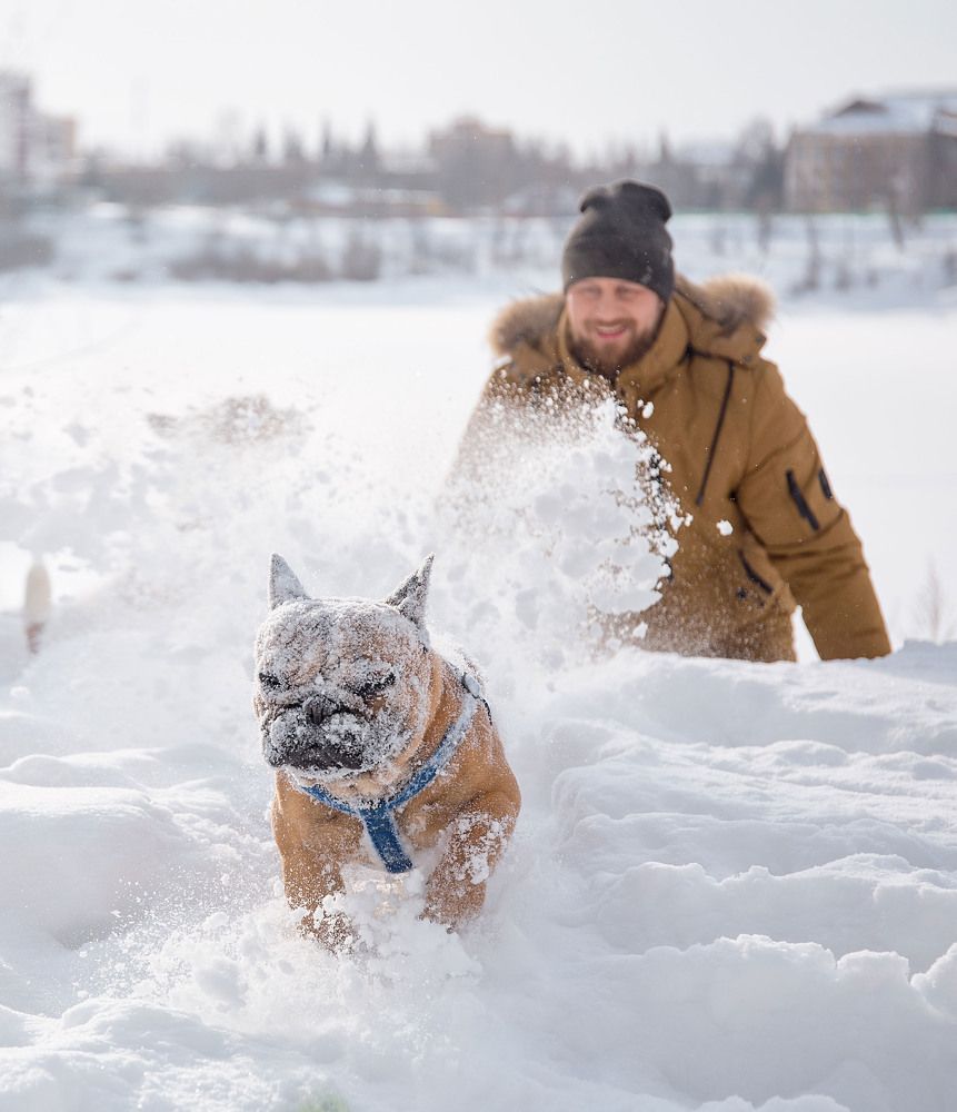 Photograph by Spasskova Tatiana