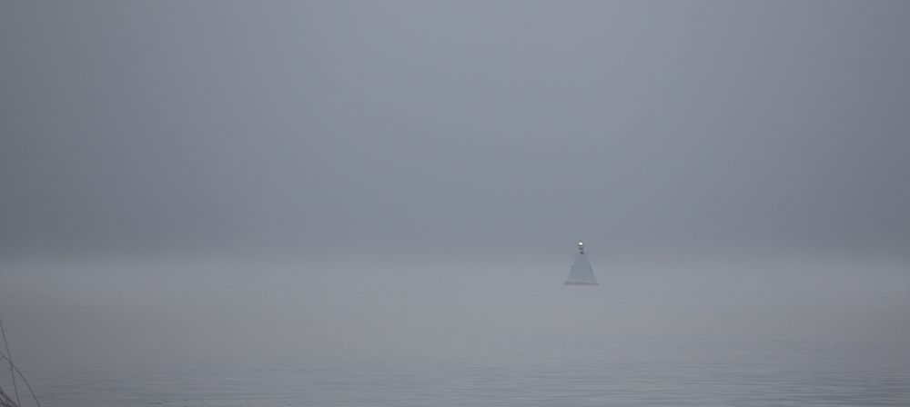 Photograph by Екатерина Родченкова