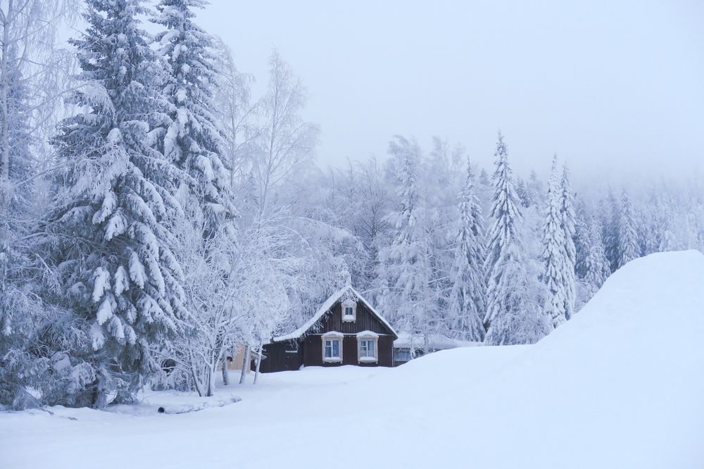 Photograph by Орл Про