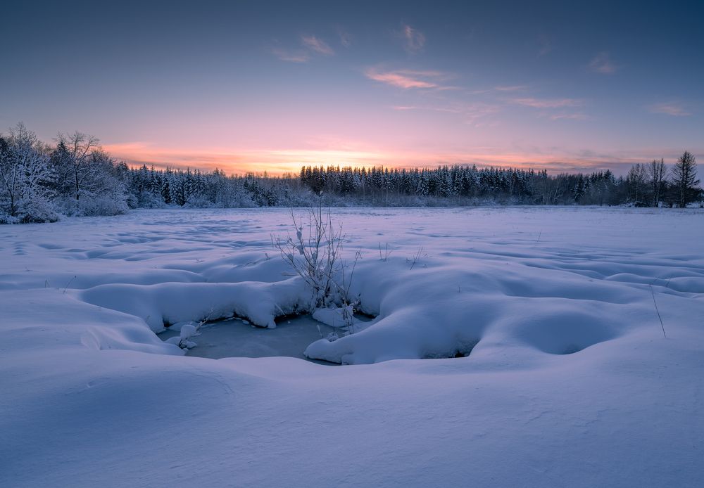Фотография автора Pussa Vitaly