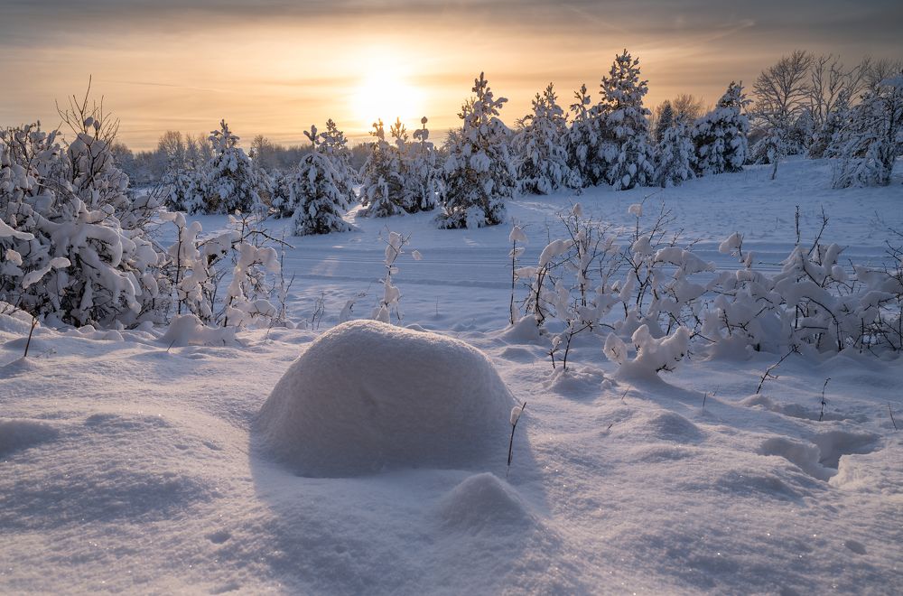 Фотография автора Pussa Vitaly