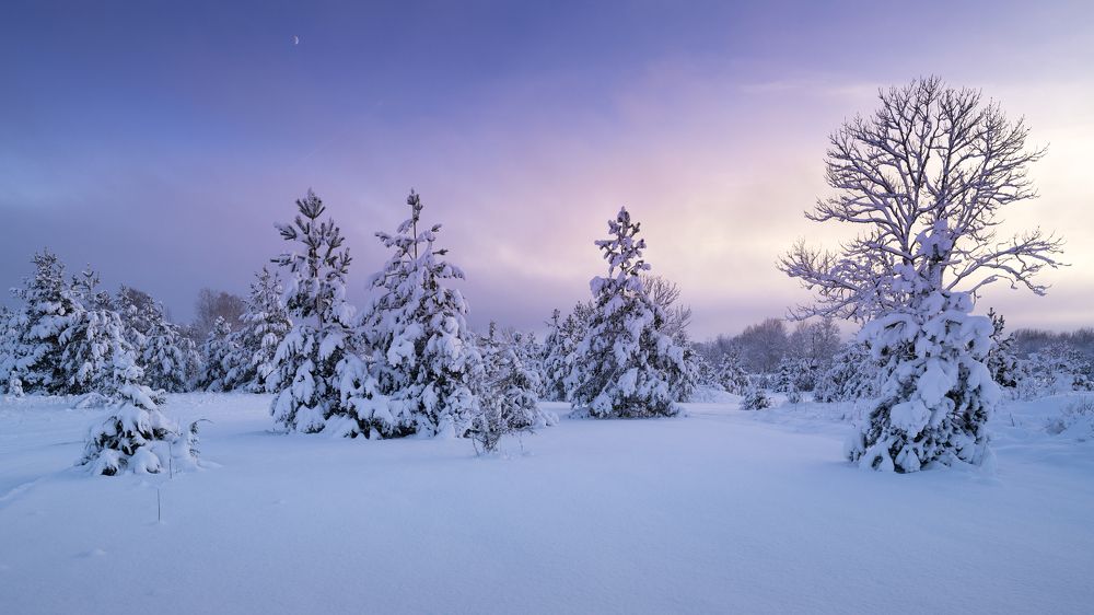 Фотография автора Pussa Vitaly