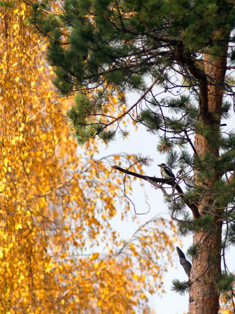 Photograph by Александр