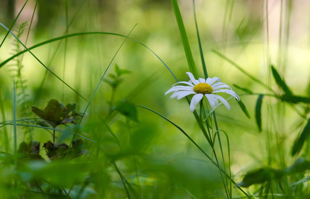 Photograph by Виталий Левыкин