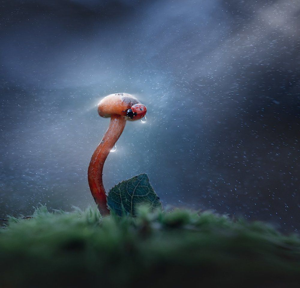 В свете млечного пути