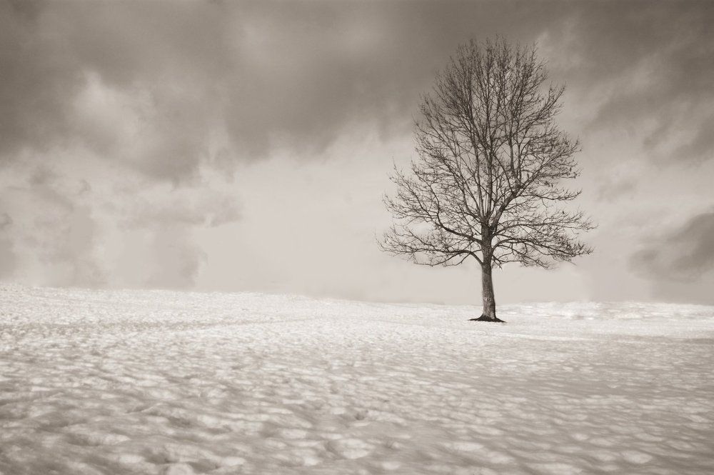 Photograph by CraZy MaShiniSt