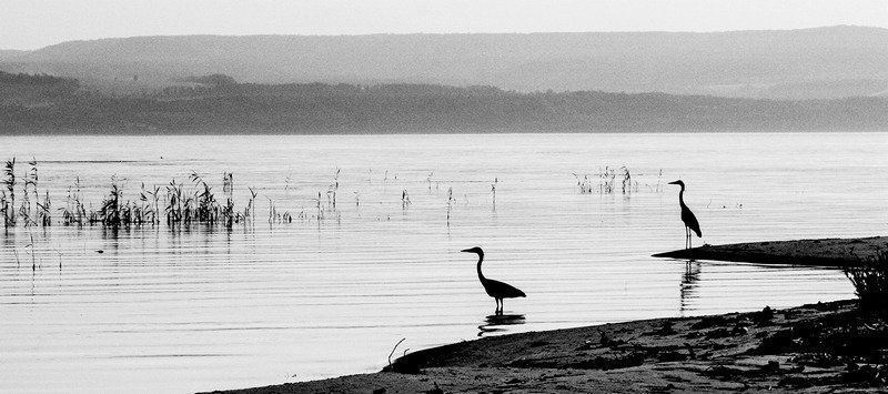 GRIGORII IVANOV, Russia
