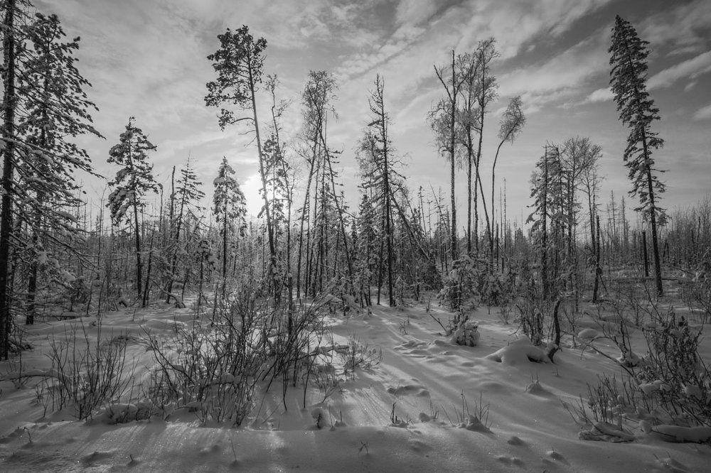 Югорский пейзаж