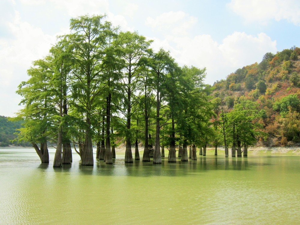 Кипарисовое озеро