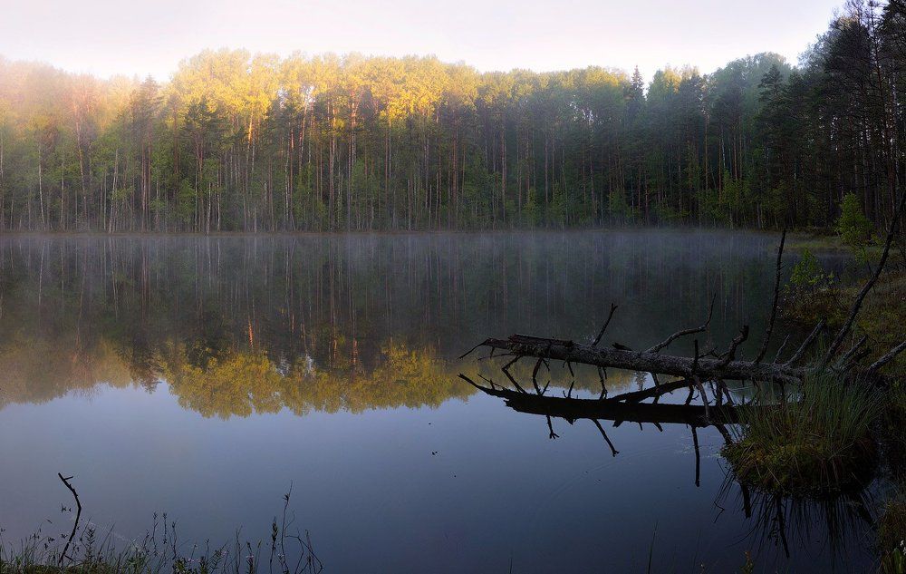 Майское утро