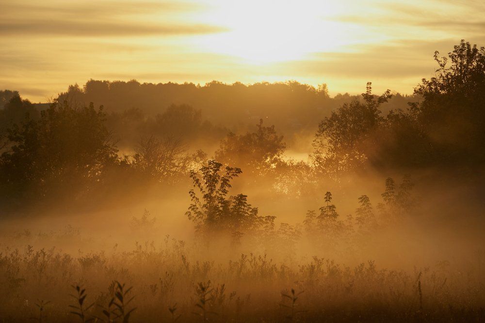 на рассвете