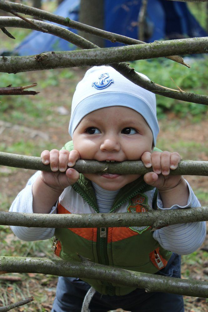 Лесной грызун