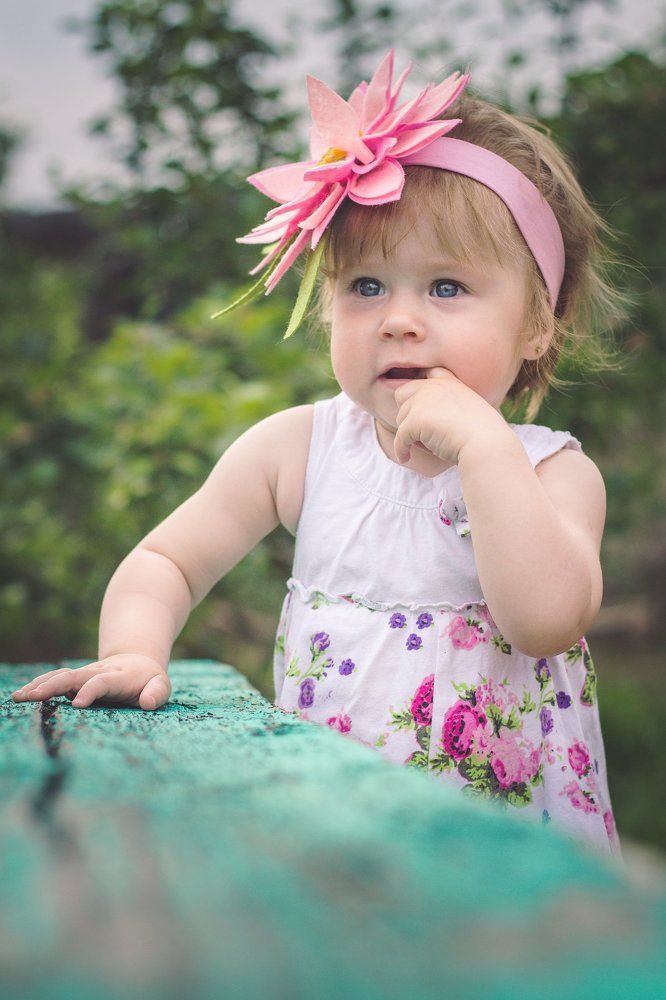 цветы жизни