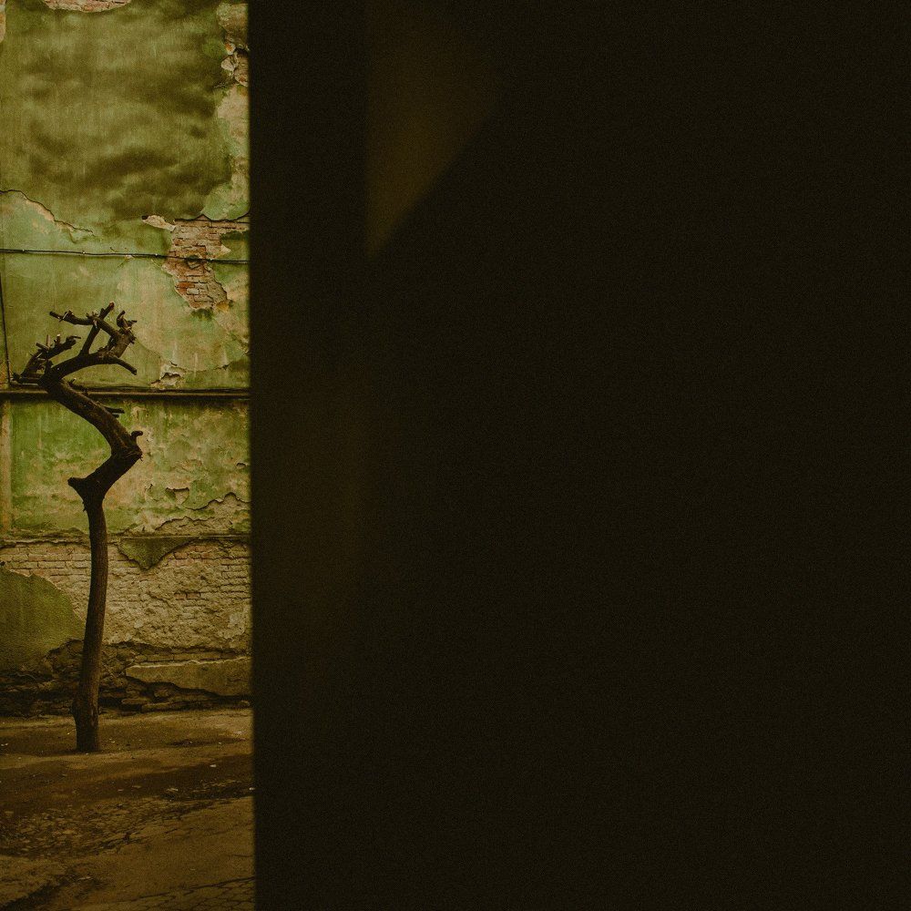 оставленное