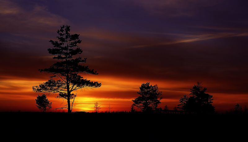 ВикТор, Russia