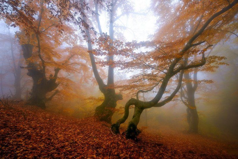 Victor Lebed, Russia