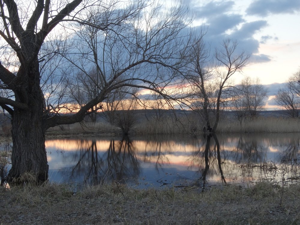 Свет уходящего дня