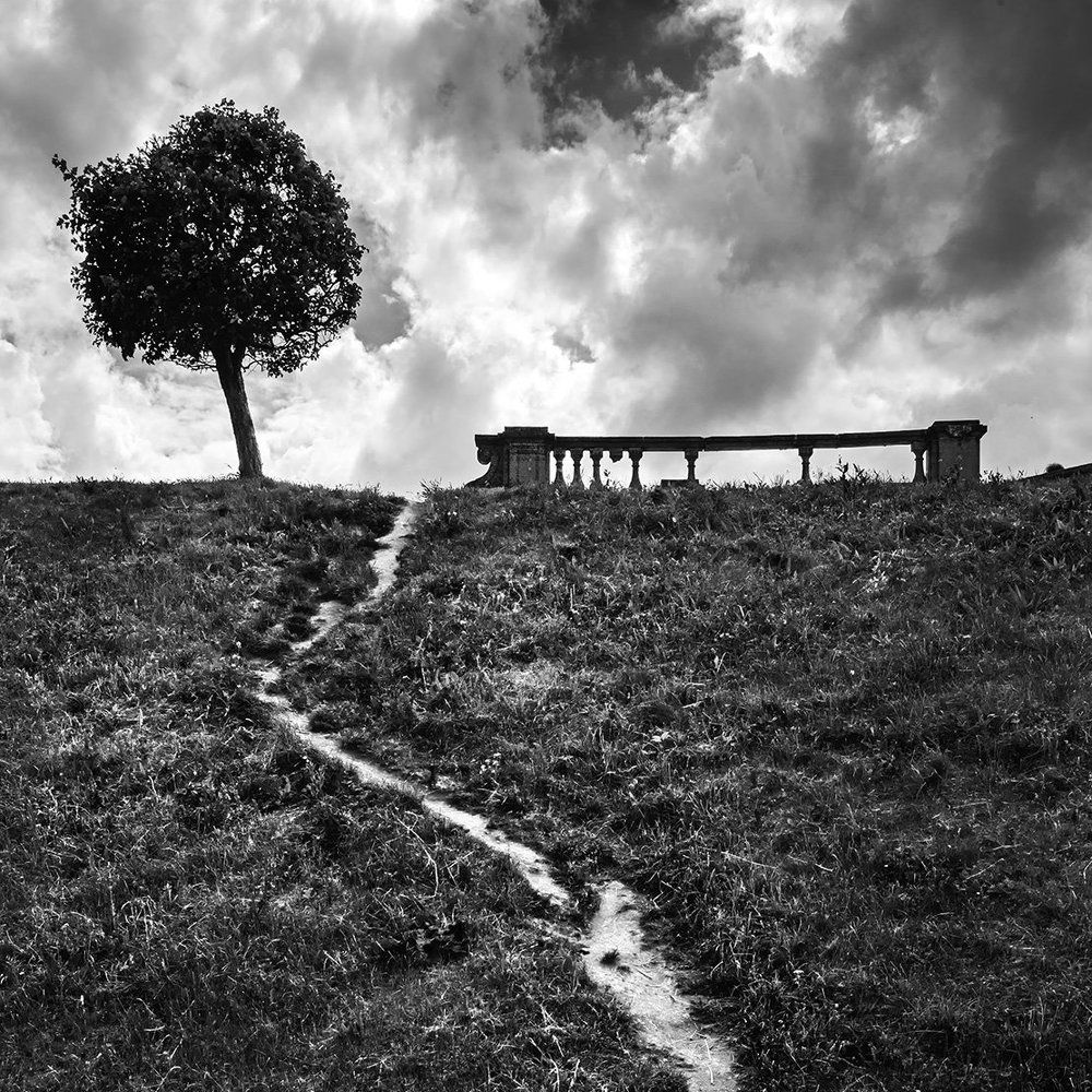 Photograph by Владимир Киреев