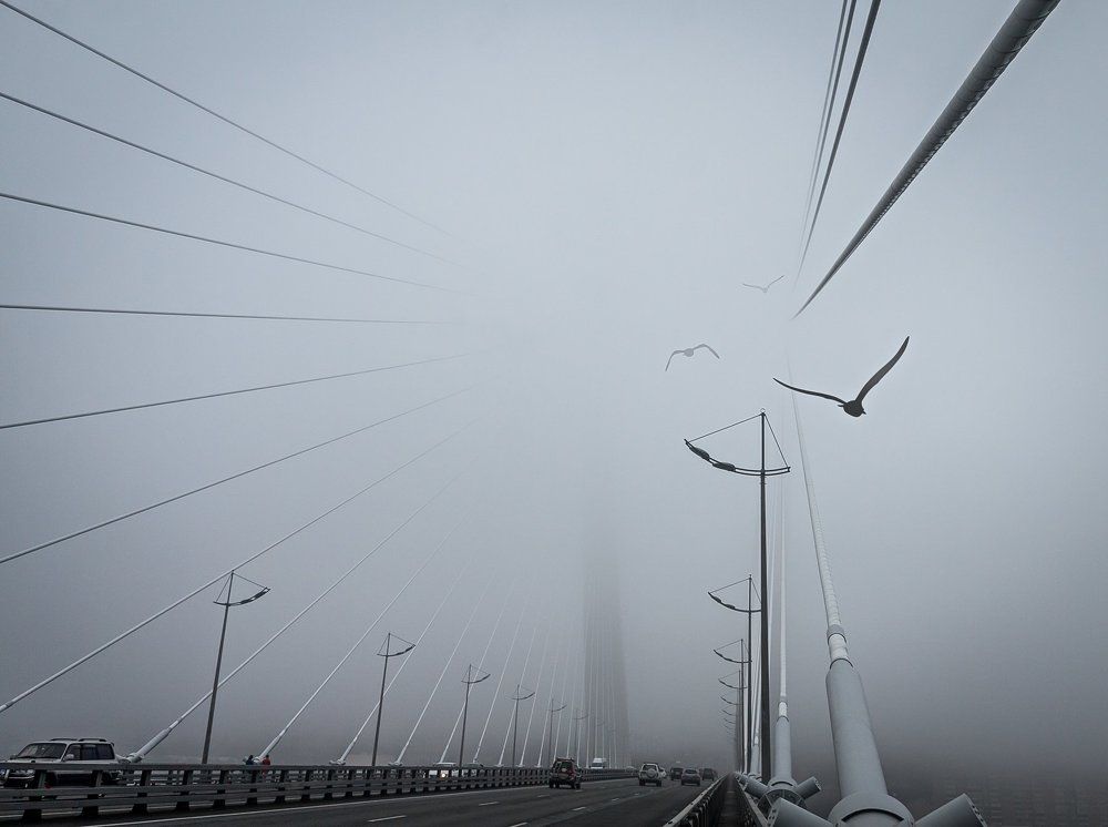 Золотой мост.